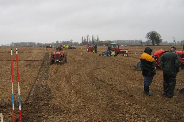 Ploughing 10.jpg